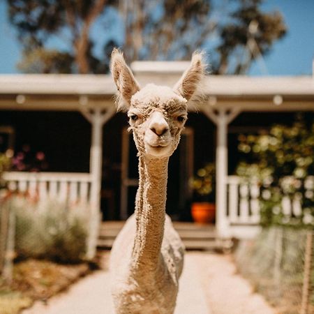 Margaret River Holiday Cottages Exterior photo