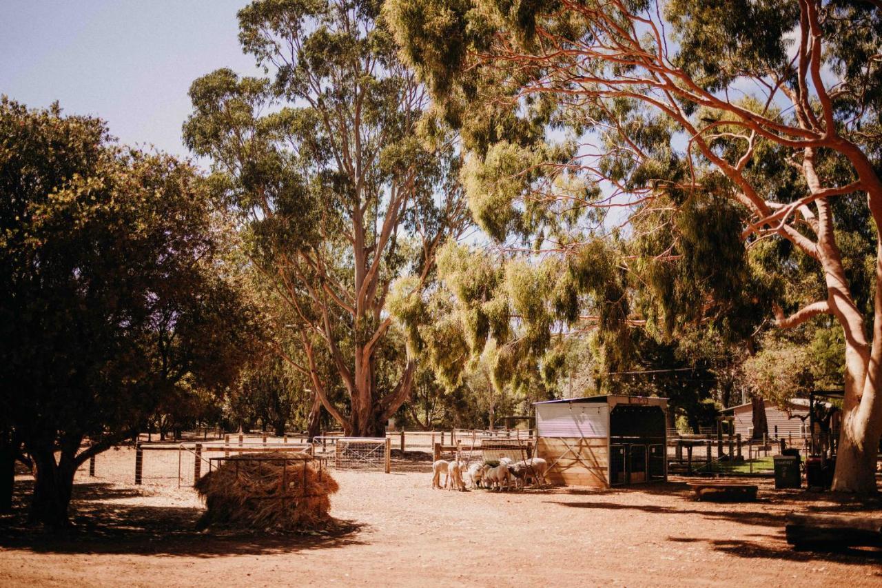 Margaret River Holiday Cottages Exterior photo